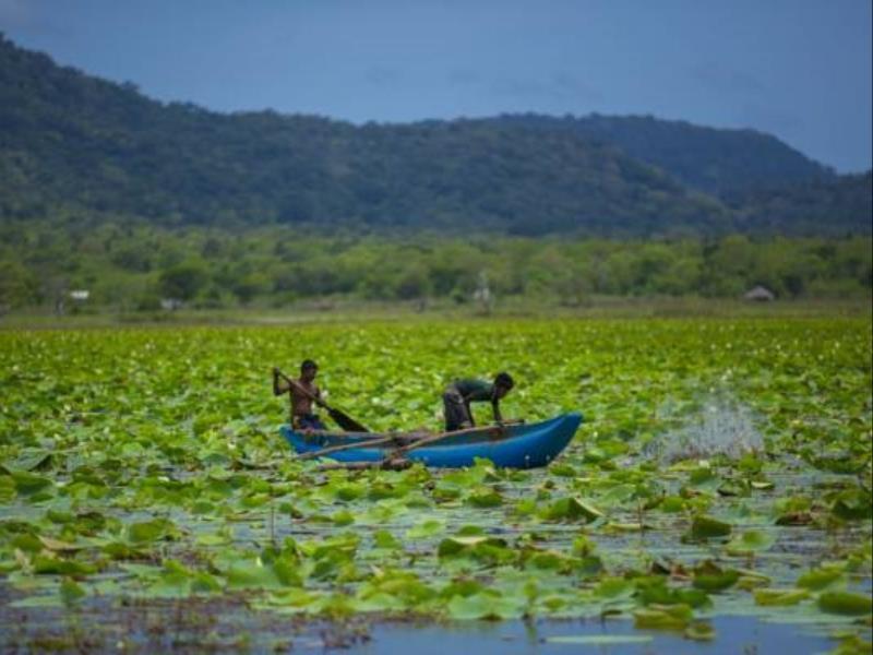 Grand Tamarind Lake Kataragama Eksteriør bilde